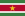 Surinam Bandera Icono